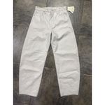 AGOLDE NWT  Luna High Waist Barrel Leg Leather Blend Pants in Wisp Sz 25 $348 Photo 5