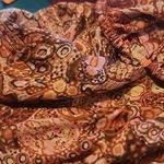 ALC Frank A.L.C AMINA DRESS Photo 5