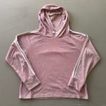 hot touch. Velour Track Suit Photo 3