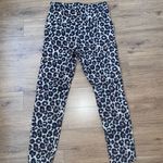 H&M Cheetah Stretch Slacks Photo 2
