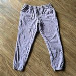 Casual Pants in Light Purple Size 2X Photo 0