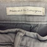 Pilcro and the Letterpress  Gray Stet Cropped Stretchy Casual Pants Size 27 Photo 7