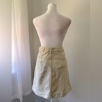 Pilcro and the Letterpress Anthropologie  Multicolored Striped Button Front Skirt Photo 6