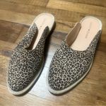 Lucky Brand NWOB Arvy Slip On Mule Leopard Print Eyelash 8 Photo 1