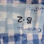 Nasty Gal Blue and Pink Plaid skirt with belt, pleated gingham size 8 Photo 9