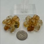 Western Germany Vintage Flower Clip Photo 3