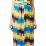 Thakoon Addition Ikat Maxi Dress Resort 2012 Bold Bohemian Luxe 6/8 Vacation Photo 0