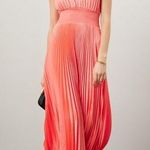 ALC Frank A.L.C. ROSE Elegant Pleated Dress Photo 0