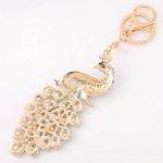 π¦ Designer Photo 8