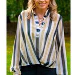 CAbi  Women's Caliber Long Sleeve Formal Sheer‎ Blouse Size M Color Stone Stripe Photo 8