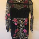 Stunning Embroidered Flapper Dress Pink Photo 0