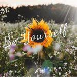 Old Navy Long Sleeve Pullover Striped Gray/White Sweater Photo 5