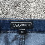 Cato  Contemporary Denim Shorts SIZE 22W Photo 1