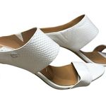 Calvin Klein Women's Cecily Embossed Leather Dress Sandals White Mules NEW Sz 11 Photo 1