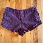 Free People  Burgundy Purple Low Rise Shorts size 30 Photo 1