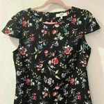 Likely Beckett Botanical Short Ruffle Skirt Black Floral Short Dress Size 12 Photo 6