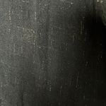 Lucky Brand  button down shirt with metallic running thru shy Photo 5