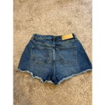 Victoria's Secret Victoria’s Secret PINK label Jean Shorts 2 Photo 3