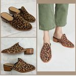 Soludos 🆕 NIB Venetian Mule in Leopard Photo 4