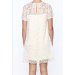 NWT cupcakes and cashmere ivory lace shift dress White Photo 3