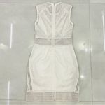 Jonathan Simkhai Mesh bodycon Qhote Dress White Size 6 Photo 8