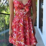 Alexis  Summer Dress Photo 0