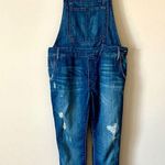 Black Orchid BLACK ORCHARD | Skinny Overall in Die Another Day Sz 27 Photo 1