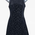 The edit by seventeen Black Velvet Dress Photo 3