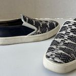 Vince  Banler Snake Embossed Skate Womens Shoes Sz 8M Pull On Sneakers Platform Photo 13