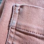 Everlane The Straight Leg Crop Pant 28 Women’s Burnt Orange Photo 3