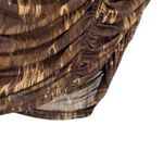 House Of Harlow 1960‎ Ruched Fully Lined Brown & Tan Midi Pencil Skirt Size S Photo 2