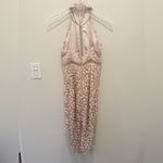 Bardot  Gemma Lace Halter‎ Dress in Light Champagne Pink XS Photo 3