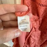 Saylor  Louisa Lace Midi Dress Size XL Coral Wedding Guest Event Party Formal Photo 5