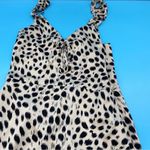 Lucy Paris  Chic Black and Cream Strappy Dress Size Medium Photo 3