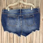 Torrid  Distressed Jean Shorts with Frayed Hem cotton blend plus size 22 Photo 1