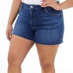 Good American NWT  Stretch Plus Size Cut Off High Waist Denim Jean Shorts Photo 0