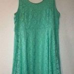 Lane Bryant  Dress Photo 0