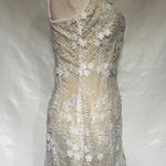 Lucy in the Sky Lace Applique Shimmer BodyCon Dress Sz S Cream Sleeveless Fairy Photo 5