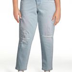 NWT Time & Tru Distressed Boyfriend Jeans Blue Size 16 Photo 0