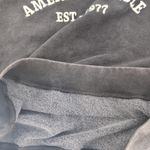 American Eagle Funday Gray/Grey Distressed Crewneck Graphic Sweatshirt Photo 4