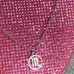 Boutique NEW Scorpio Necklace Zodiac Horoscope Birthday Month Astrology Sign Y2K Emo Goth Photo 0