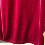 Sundance  Velvet Ruched Sleeve T-shirt Top Small Luxe Raglan‎ Sleeve Fall Vibes S Photo 2