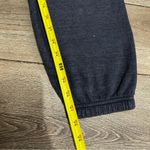 Aviator Nation Blue Neon 5 Stripe Chevron Bolt Sweatshirt and Sweatpants Set Photo 11