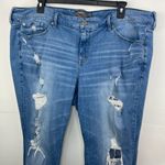 Torrid Crop Boyfriend Vintage Stretch Distressed Blue Jeans size 24 plus Photo 1