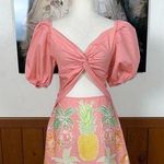 Darling New Kenny Flowers Baha Mar Mini Dress! Pink Size L Photo 0