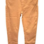 Black Orchid Gisele High Rise Super Skinny‎ Jeanas nwt Size 26 Photo 0