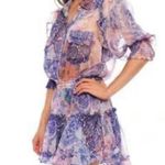 MISA Los Angeles Amelie Dress Photo 5