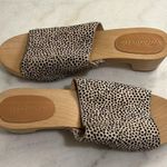 Madewell The Evelyn Slide Wood Clog Slides in Spotted Calf Hair New Size 6.5 Photo 7