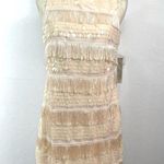 Eliza J Sequin and Fringe Blush Dress Size 8 Photo 1