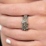 Paparazzi Bubbly Effervescence Silver Ring (26) Photo 0